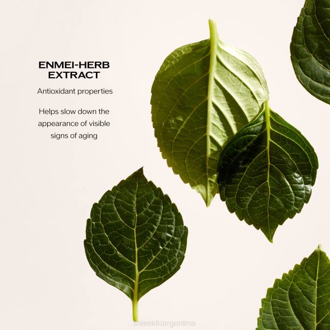 Shiseido crema regeneradora contorno de ojos y labios R8DB52 protección de la piel