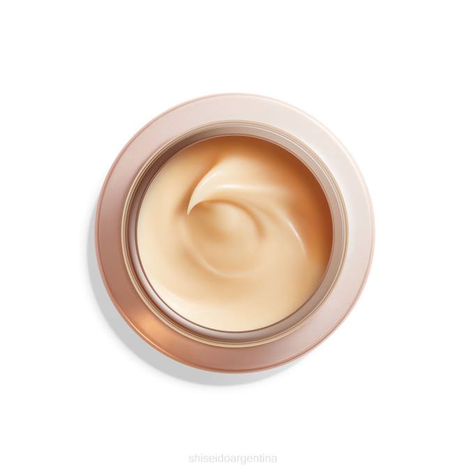 Shiseido crema antiarrugas de noche R8DB12 protección de la piel