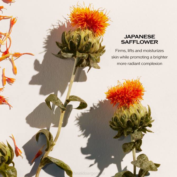 Shiseido crema de día revitalizante y reafirmante spf 30 R8DB22 protección de la piel