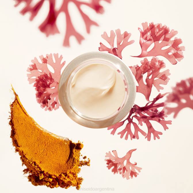 Shiseido crema de día suavizante de arrugas spf 23 R8DB10 protección de la piel