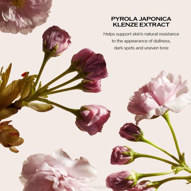 Shiseido crema y mascarilla de noche R8DB13 protección de la piel