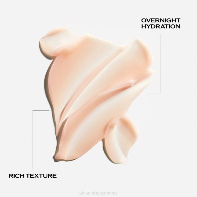 Shiseido crema y mascarilla de noche R8DB13 protección de la piel