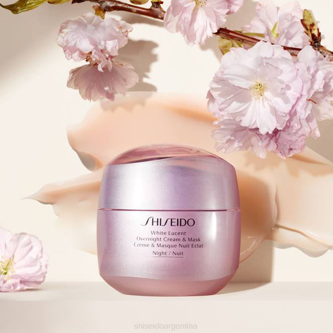 Shiseido crema y mascarilla de noche R8DB13 protección de la piel