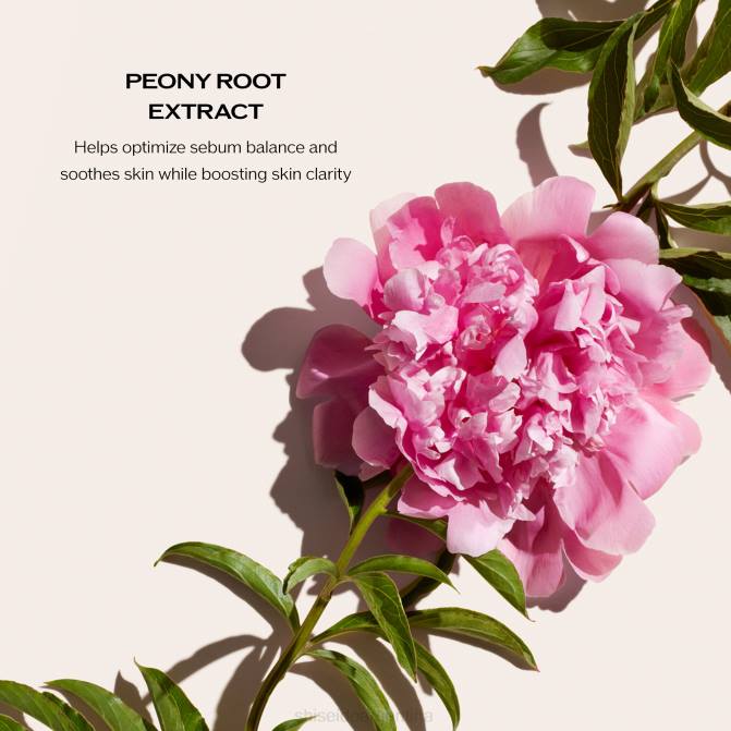 Shiseido espuma de limpieza profunda (para pieles grasas y propensas a imperfecciones) R8DB37 protección de la piel