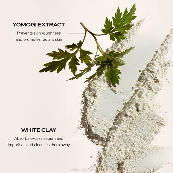 Shiseido espuma limpiadora clarificante (para todo tipo de piel) R8DB35 protección de la piel